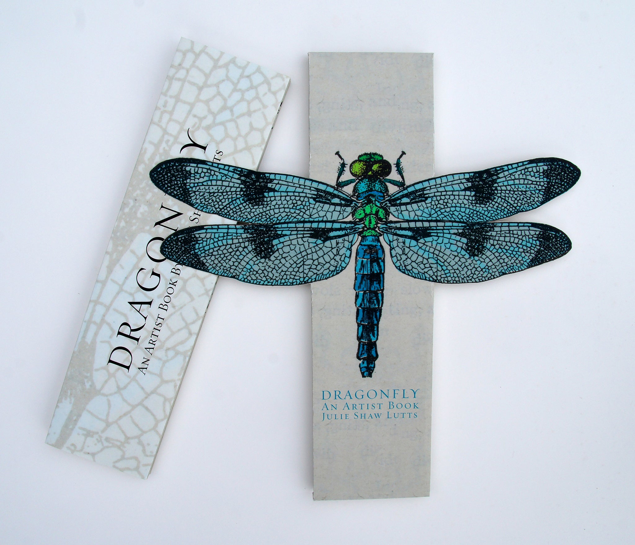 Dragonfly by Julie Shaw Lutts – 23 Sandy